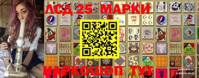 крисы Абакан