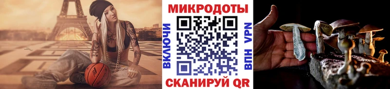 Псилоцибиновые грибы GOLDEN TEACHER  Усть-Кут 