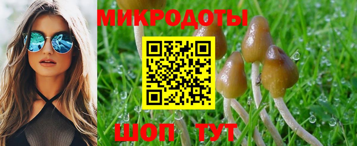 Псилоцибиновые грибы мухоморы  Вход с VPN  Усть-Кут 